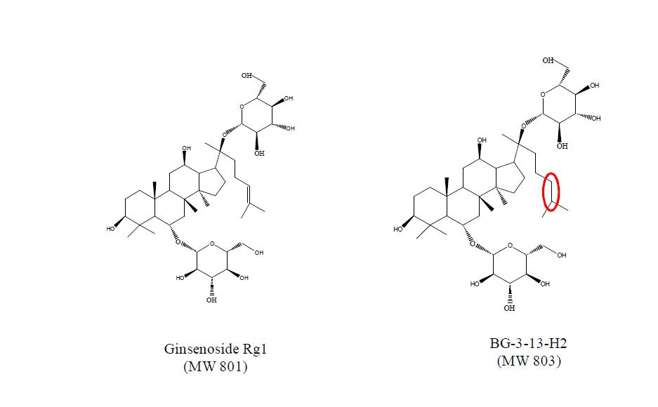 AMPK 인산화 유도 및 골다공증 저해효과를 가지는 흑삼 BG-3-13 구성성분의 분자구조 및 Rg1의 구조 비교