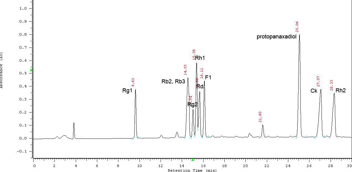 Ginsenoside 표준화합물의 ODS-HPLC 분석 프로파일