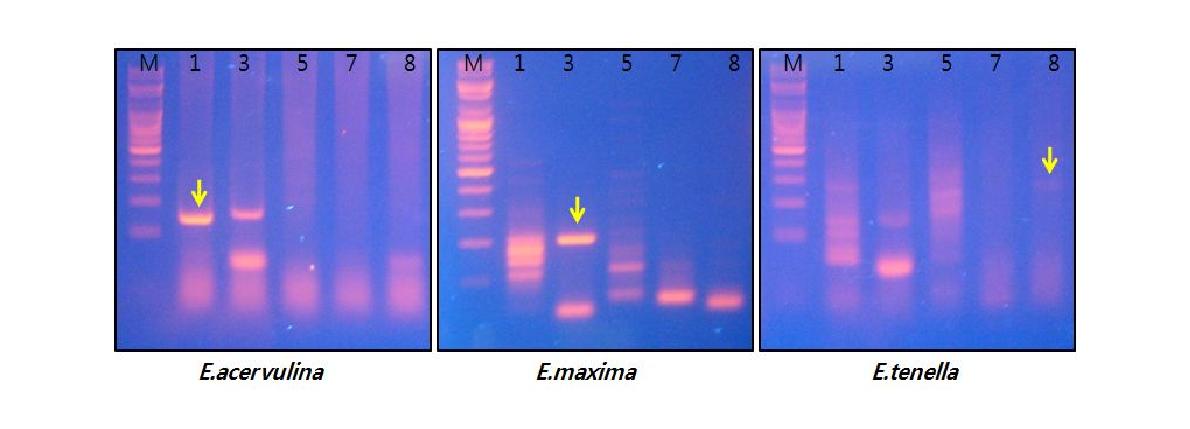 epresentativePCRresults