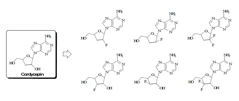 불소 함유 cordycepin유도체의 구조식