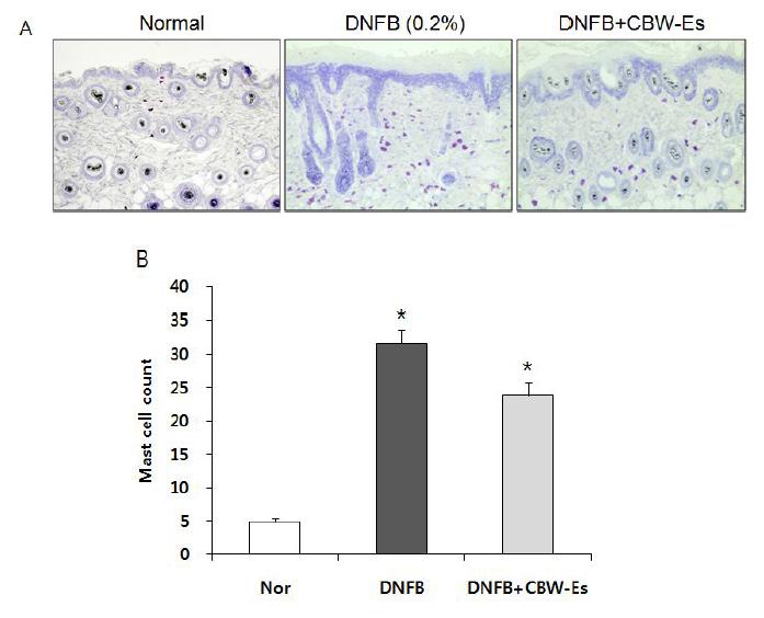 Effects of CBW-Es on mast cel infiltration in the skin ofDNFB-treated NC/Nga mice