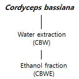 Advancedprocedureforextractionandfractionationofactivematerial from Cordycepsbassian