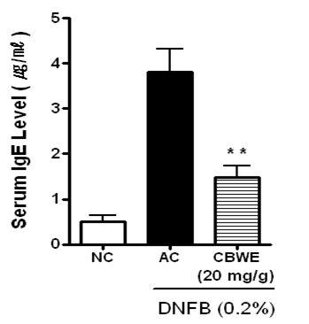 EffectsofCBWEontheserum levelofIgEinNC/Ngamicewithatopicdermatitis