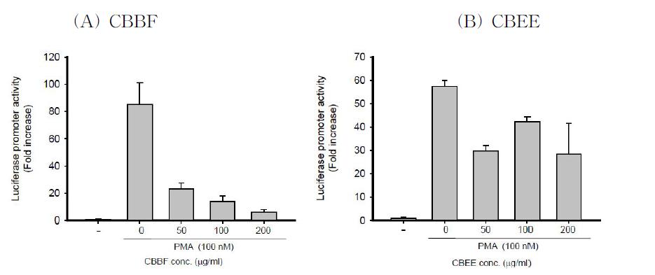 AP-1-Luciferase 유전자가 transfection된 HEK293 세포주에서 CBBF 및 CBEE에 의한 AP-1luciferase프로모터 활성 조절 효과