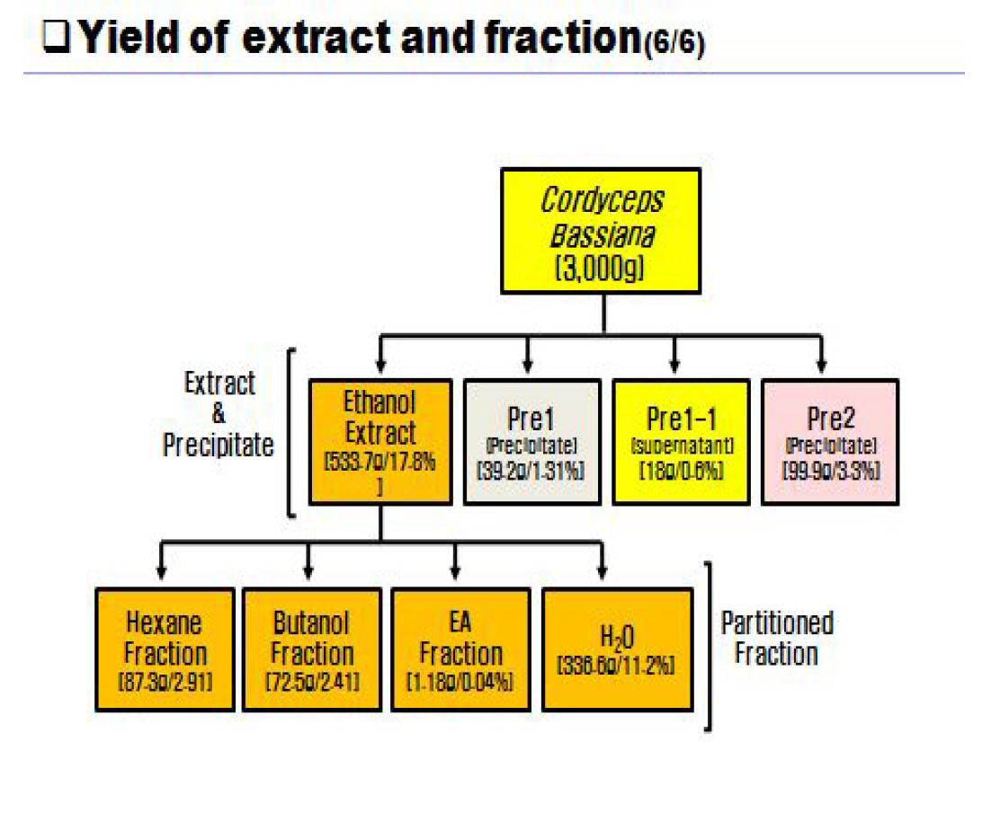 노랑다발동충하초 추출물 및 분획물의 수득율(yield)비교