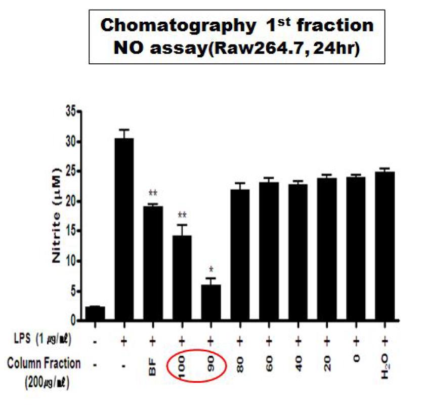 Opencolumnchromatography를 이용한 노랑다발동충하초 분획물의 항염특성비교