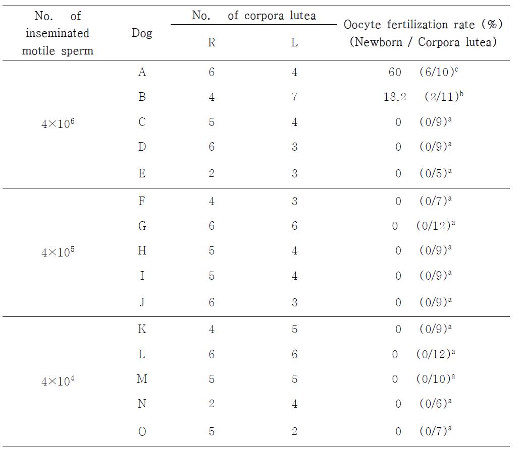 Pregnancy rate after intratubal insemination of canine semen frozen with 6% glycerol and thawed at 70ºC for 8 sec