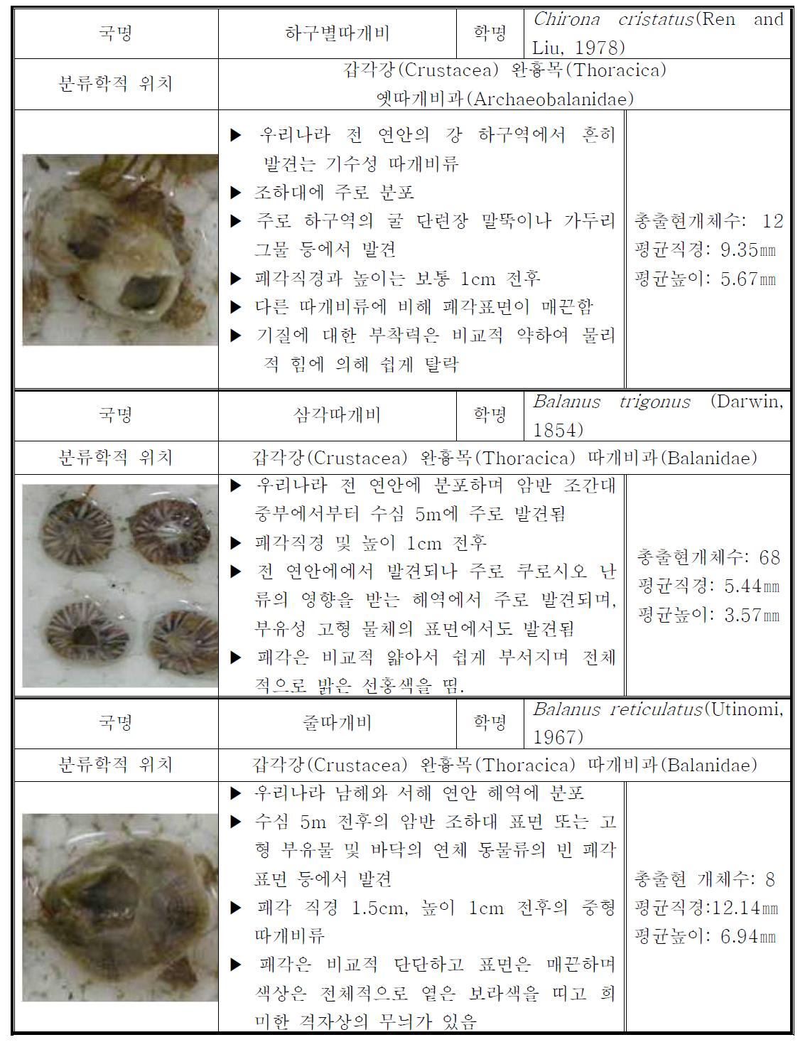 부침 부자에 부착된 부착 생물의 종류