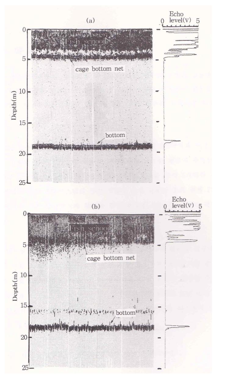 부침 소음의 방성 유무에 따른 가두리 내 어군의 군집 수층(Kim et al., 1998). (a) 평상시, (b) 부침 소음 방성 시