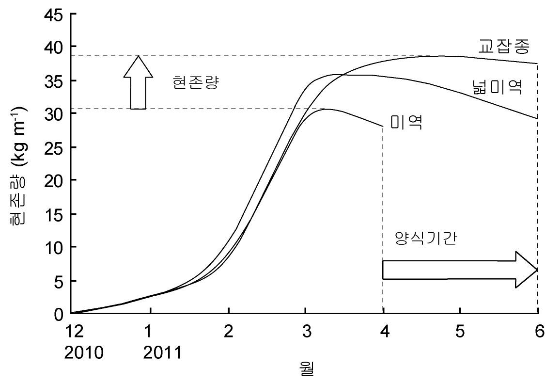 넓미역, 미역 그리고 넓미역과 미역의 교잡종 사이의 현존량 비교