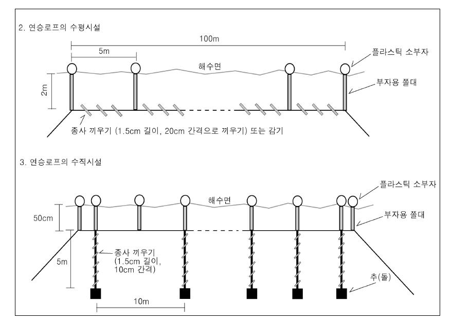 넓미역 양성시설 (수평식 및 수직식)