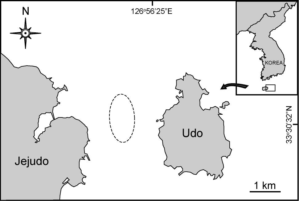 제주도 우도 지역의 넓미역 개체군 분포지역