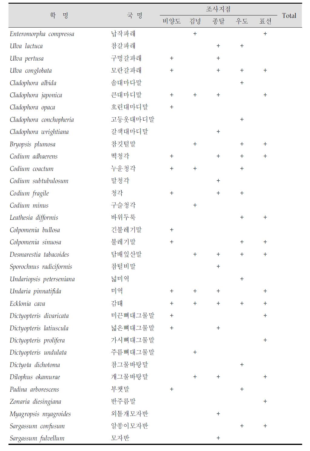 제주 연안 5개 지점에서 조사된 조하대 해조류의 종목록