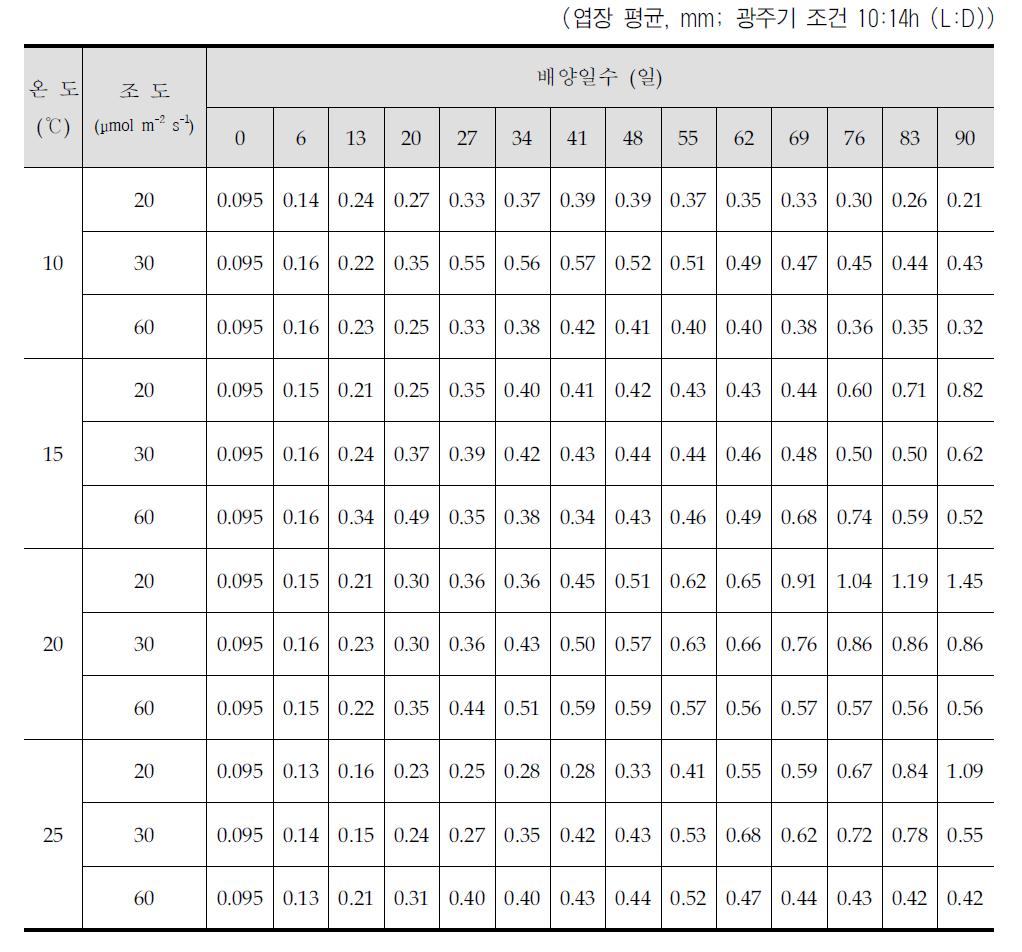 온도 및 조도 조건별 넓미역 포자체의 생장