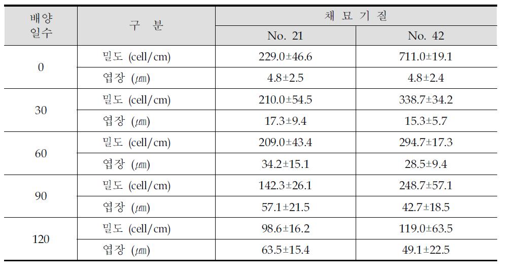 수조배양기간중 채묘기질별 넓미역 배우체의 밀도와 생장도