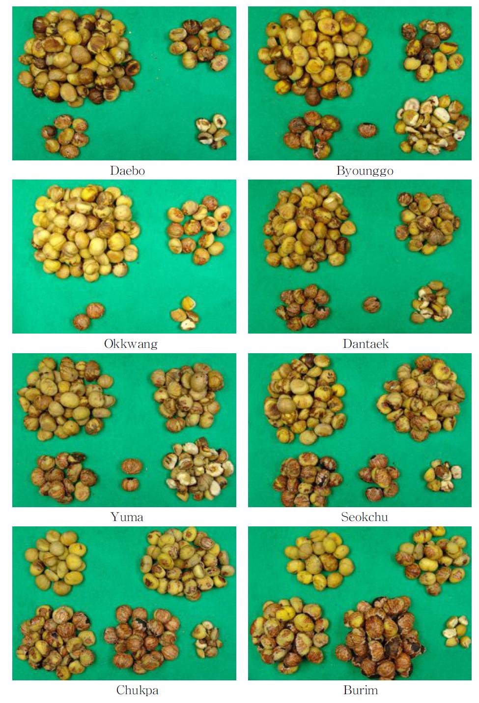 Peeling ratio (100%,80%,50%,0%) and broken ratio of 8 chestnut varieties by chestnut flame peeler