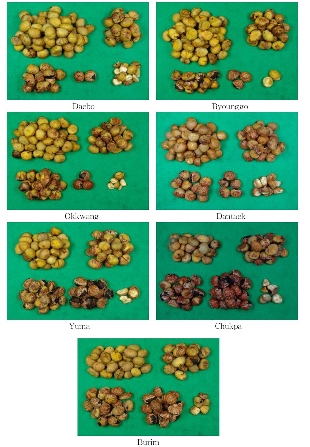 Peeling ratio(100%,80%,50%,0%) and broken ratio of 7 chestnut varieties by chestnut flame peeler