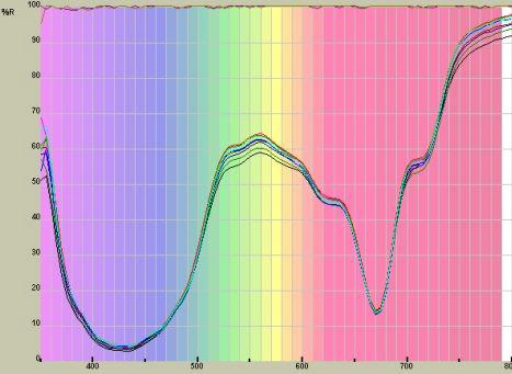 Absorbancespectrom ofchlorelasuspensioninvisiblerange(ƛ=400∼800nm)