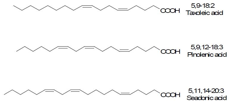 Structure of major Δ-5 unsaturated fatty acids in pine nut