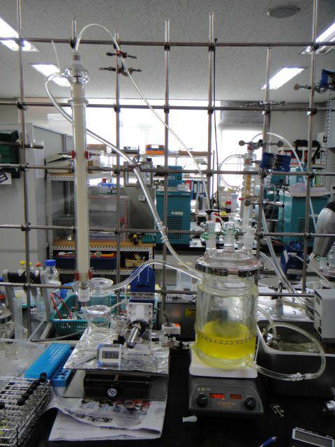 Bulk-scale recycling PBR system for ethanolysis reaction.