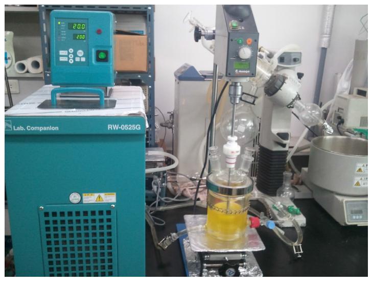 Bulk scale reaction system for production of monoglyceride by enzymatic esterification.