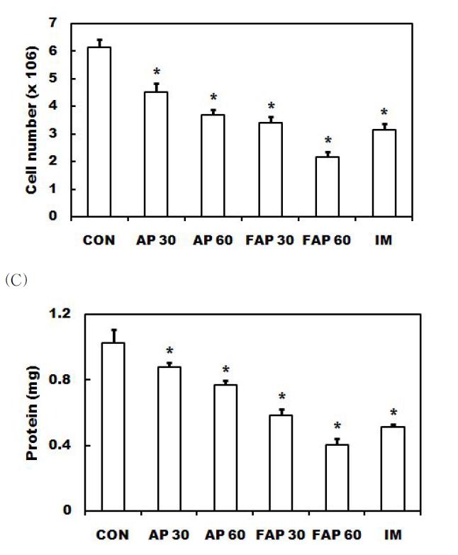 Effect of AP and FAP on volume (A), cell number (B) and protein content (C) in exudates from the air pouches treated with carrageenan. The control group (CON) received only vehicle before carrageenan injection. The samples (AP30, 30 mg/kg AP; AP60, 60 mg/kg AP; FAP30, 30 mg/kg FAP; FAP60, 60 mg/kg FAP and IM, 10 mg/kg indomethacin) were orally administered 1 h before the carrageenan injection. The animals were sacrificed 12 h later, and exudates from each air pouch were collected. The volume, the number of cells and protein amount in the exudates were assessed. Each value is expressed as the mean ± S.D. (n=6). *P < 0.05 vs. carrageenan‐treated control.