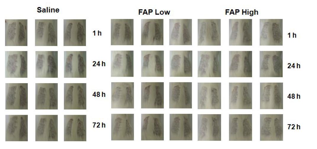 Acute Skin Toxicity of FermentedArtemisiaprinceps(F-AP) by Draize Test