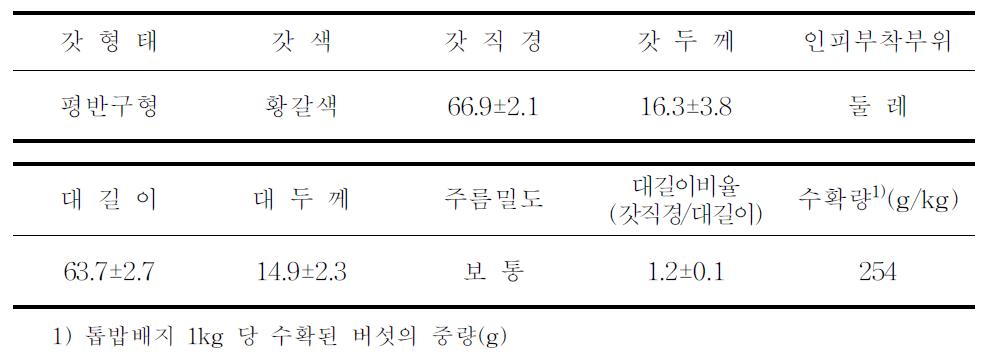 07-93균주의 임가실증 자실체 특성