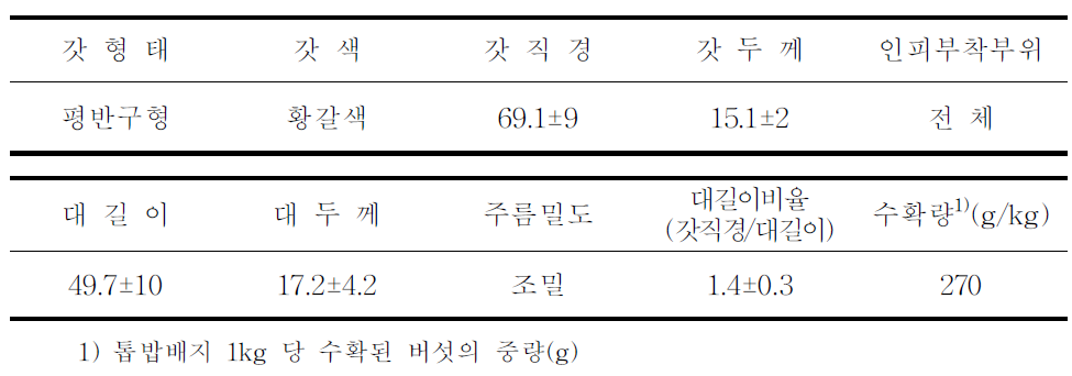 07-502균주의 임가실증 자실체 특성