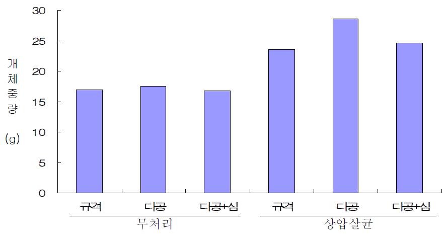 접종방법에 따른 버섯 품질 비교 (산조108호)