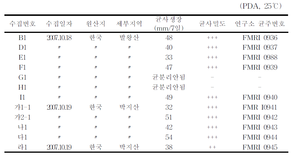 강원 평창 진부의 야생 표고 자실체 균분리 및 균사생장조사