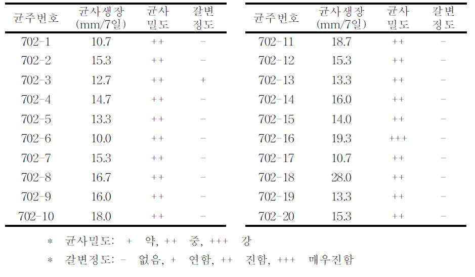 산조702호 균주의 일핵균주별 배양특성