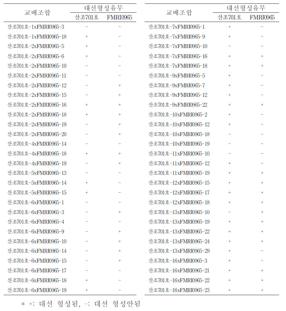 산조701호 ×FMRI0965조합 모균주와 대선형성 유무