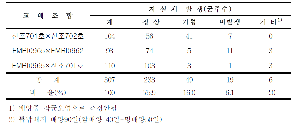 교배균주의 자실체 발생 상태(2008