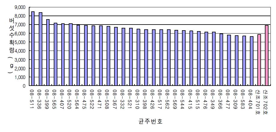 톱밥재배용 교배균주 자실체 수확량(상위30균주)