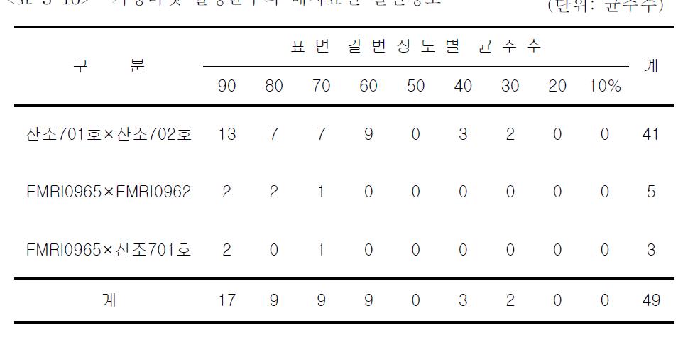 기형버섯 발생균주의 배지표면 갈변정도