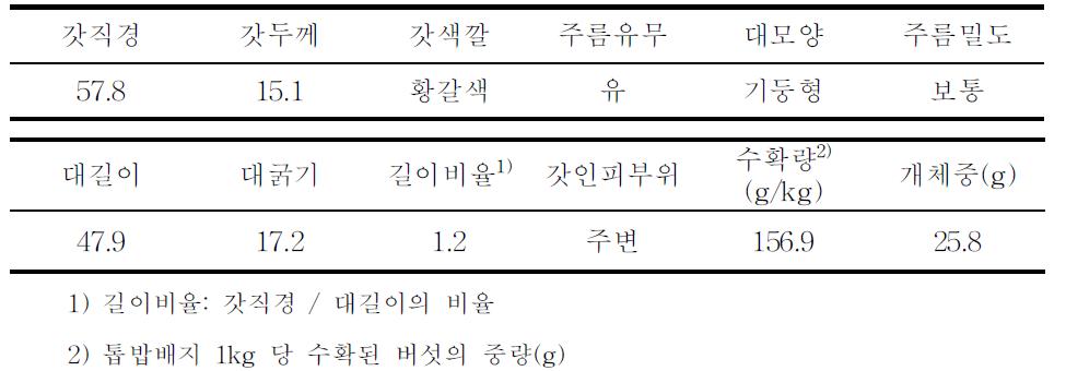 08-108균주의 자실체 특성