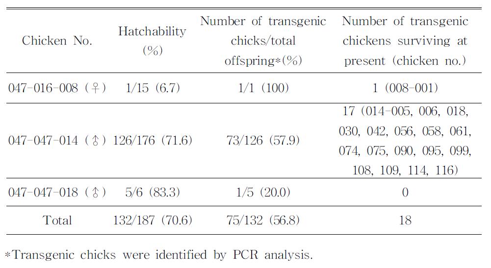 Germline transmission rates from G2 transgenic chickens