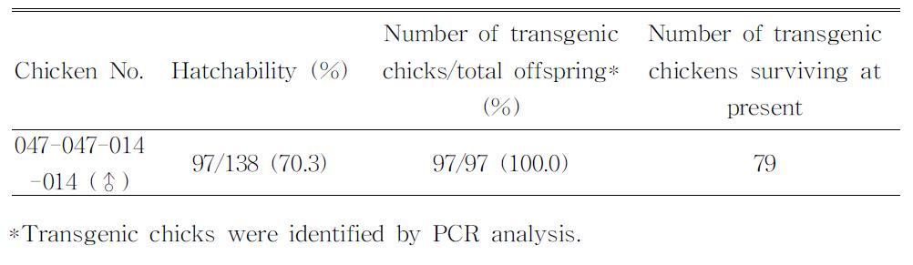 Germline transmission rates from G3 transgenic chickens