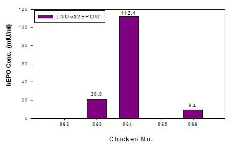 ELISA analyses of G0 LNOv32-EPOWⅡ transgenic chickens.