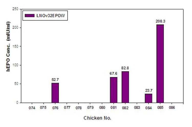 ELISA analyses of G0 LNOv32-EPOWⅢ transgenic chickens.