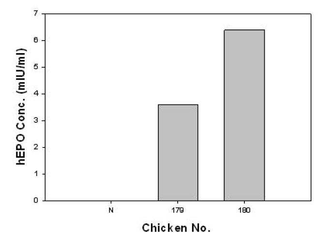 ELISA analyses of G0 LNOv32EPOWⅥ transgenic chickens.