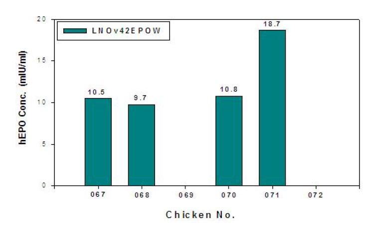 ELISA analyses of G0 LNOv42EPOWⅢ transgenic chickens.