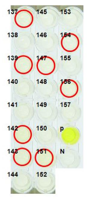 ELISA analyses of G0 LNOv42EPOW Ⅳ transgenic chickens.