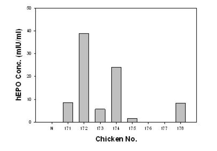 ELISA analyses of G0 LNOv42EPOWⅤ and LNOv42EPOW Ⅵ transgenic chickens.