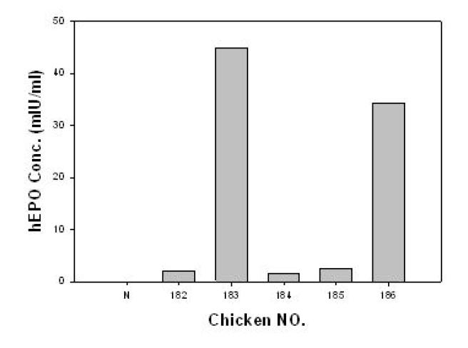 ELISA analyses of G0 LNOv36EPOWⅠ and LNOv36EPOWⅡtransgenic chickens.