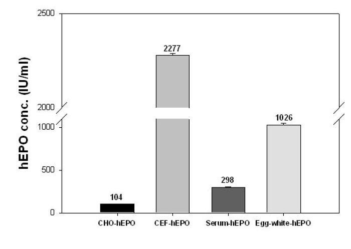 ELISA analysis of recombinant hEPO produced by CHO,CEF,transgenic chicken serum and egg white.