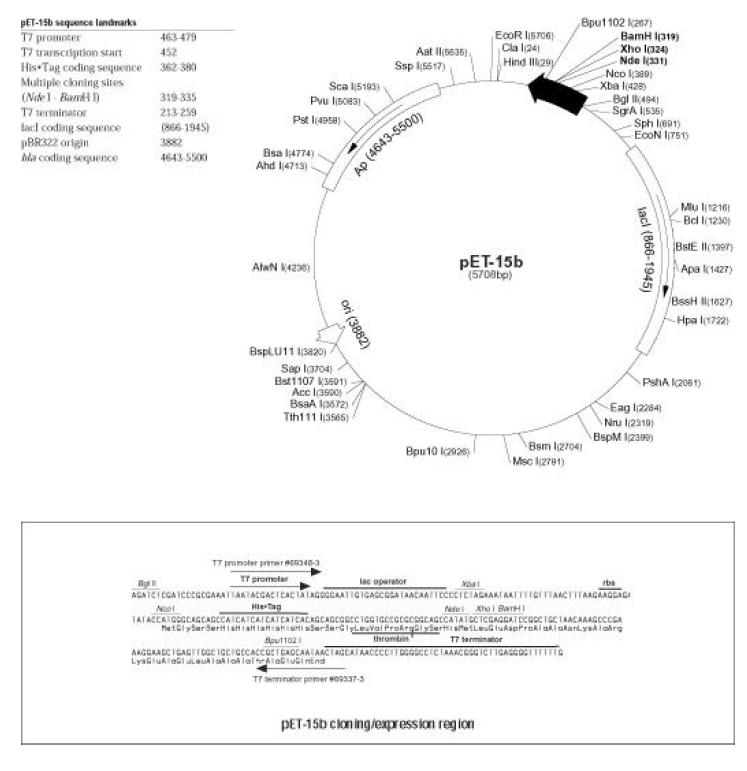 PET-15b expression vector map for production of hEPO.