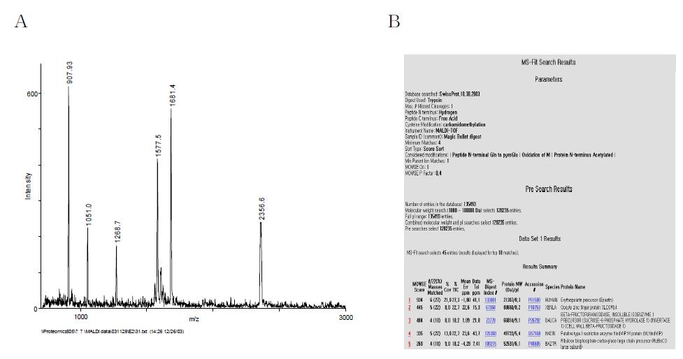 Peptides mass fingerprinting of hEPO.