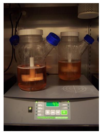 Hybridonma cell culture by spin culture.